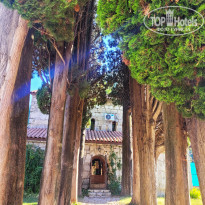 фото из отзыва ID 2373023