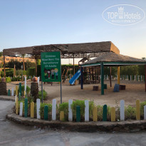 фото из отзыва ID 2373123