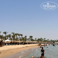 фото из отзыва ID 2373034