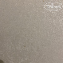 фото из отзыва ID 2373217