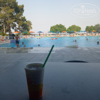 фото из отзыва ID 2373418