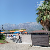 фото из отзыва ID 2373418