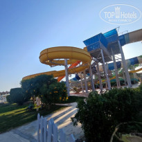 фото из отзыва ID 2373447