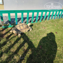 фото из отзыва ID 2373447