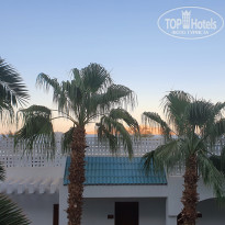 фото из отзыва ID 2373808