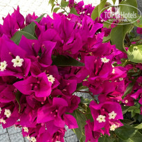 фото из отзыва ID 2373874