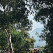 фото из отзыва ID 2374066