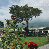 фото из отзыва ID 2374066