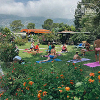 фото из отзыва ID 2374066