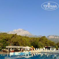 фото из отзыва ID 2374248