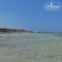 фото из отзыва ID 2374308