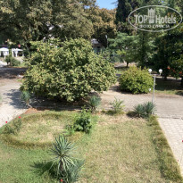 фото из отзыва ID 2374321