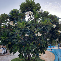 фото из отзыва ID 2374345