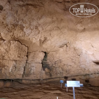 фото из отзыва ID 2374345