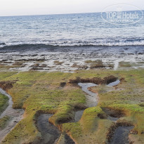 фото из отзыва ID 2374345