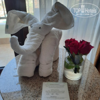 фото из отзыва ID 2374345