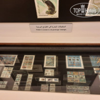 фото из отзыва ID 2374345