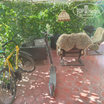 фото из отзыва ID 2374349