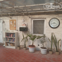 фото из отзыва ID 2374349