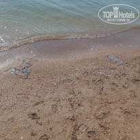 фото из отзыва ID 2374349