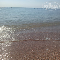 фото из отзыва ID 2374349