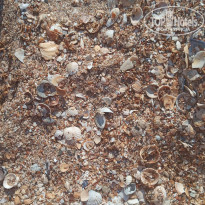 фото из отзыва ID 2374349