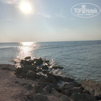 фото из отзыва ID 2374349