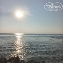 фото из отзыва ID 2374349