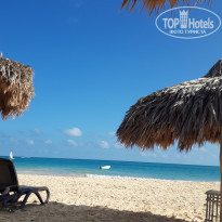 фото из отзыва ID 2374609