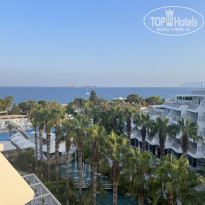 фото из отзыва ID 2374681