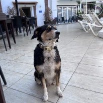 фото из отзыва ID 2374692