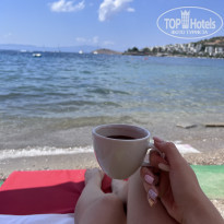 фото из отзыва ID 2374692