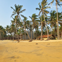 фото из отзыва ID 2374735