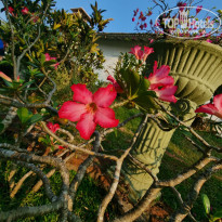 фото из отзыва ID 2374735