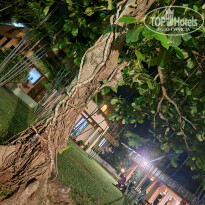 фото из отзыва ID 2374735