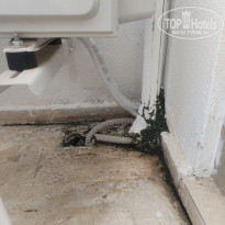 фото из отзыва ID 2374769