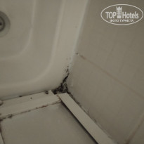 фото из отзыва ID 2374769