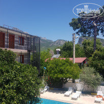 фото из отзыва ID 2375062