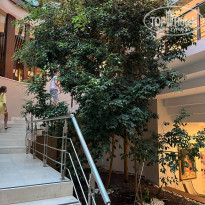 фото из отзыва ID 2374423