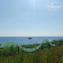 фото из отзыва ID 2374032