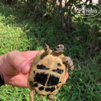 фото из отзыва ID 2375416