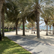 фото из отзыва ID 2375728