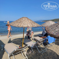 фото из отзыва ID 2375787