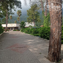 фото из отзыва ID 2376095