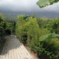 фото из отзыва ID 2376095