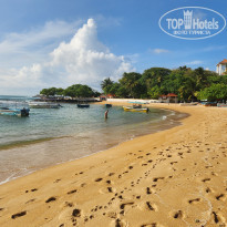 фото из отзыва ID 2376117