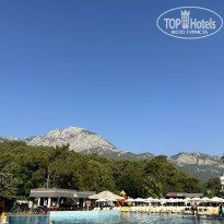 фото из отзыва ID 2376181