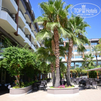 фото из отзыва ID 2376184