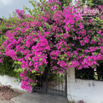фото из отзыва ID 2376331