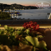 фото из отзыва ID 2376463